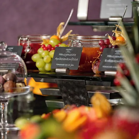 ホテル Central Hotel フィリンゲン・シュヴェニンゲン